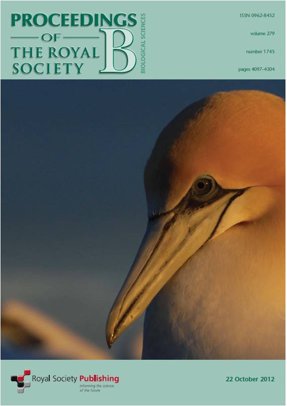 Gannet cover