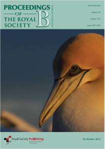 Gannet cover low resolution
