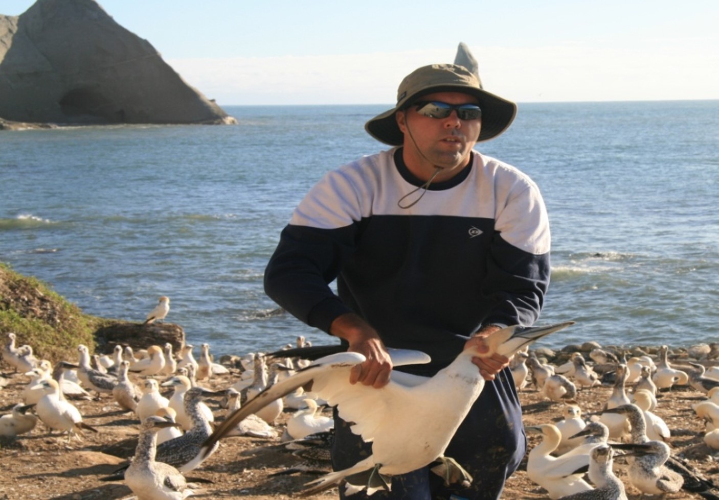 Cape Kidnappers fieldwork 2012