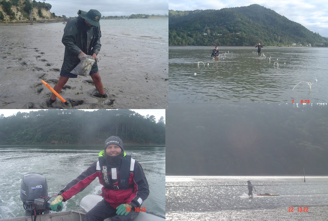 Estuaries NIWA New Zealand fieldwork